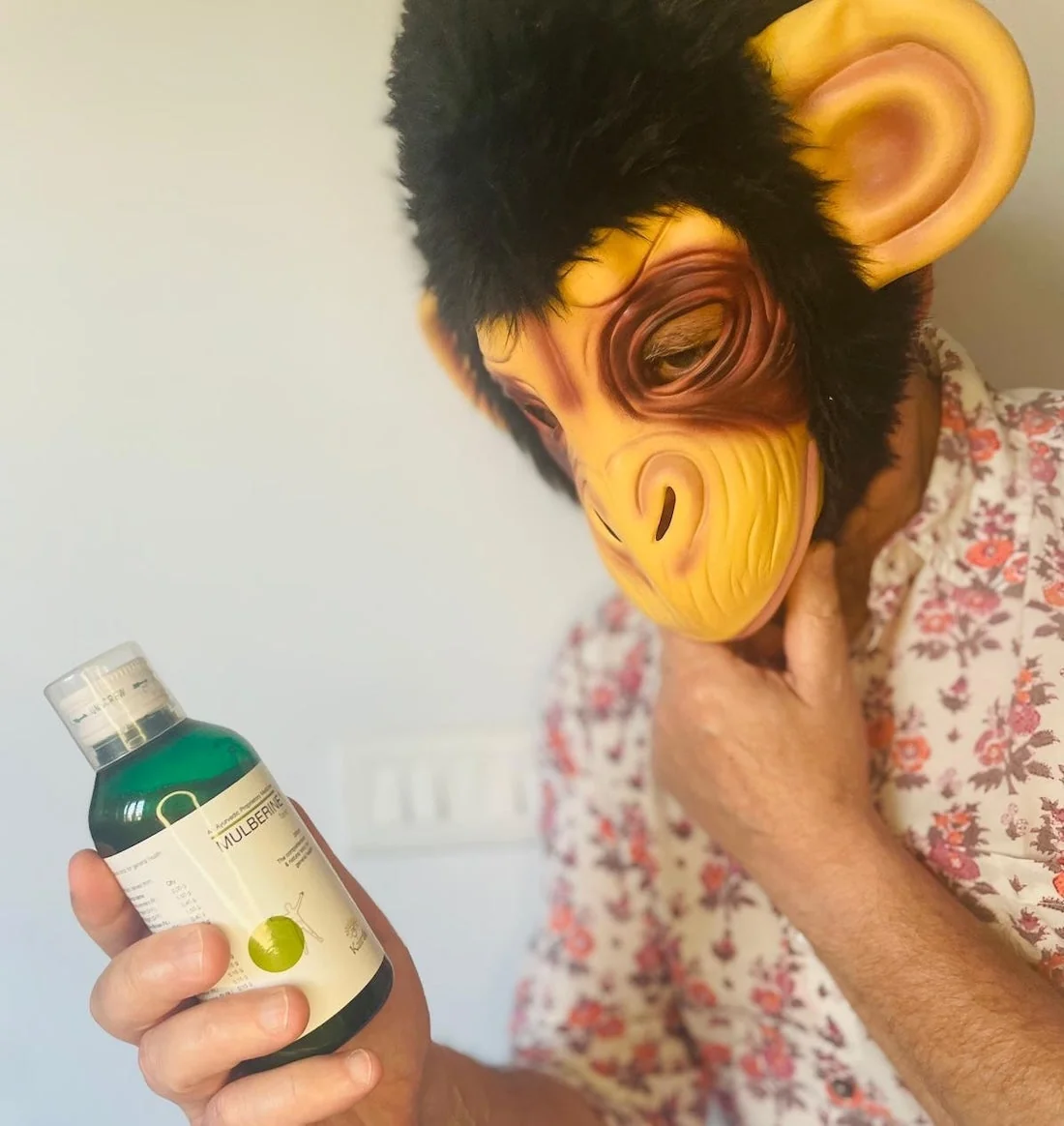 Scimmione looking at the ayurvedic medicine Mulberine Tonic